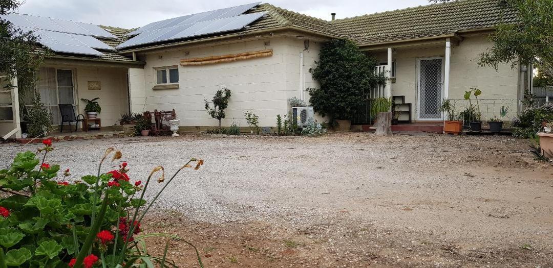 Unit In Marion Apartment Sturt Exterior photo